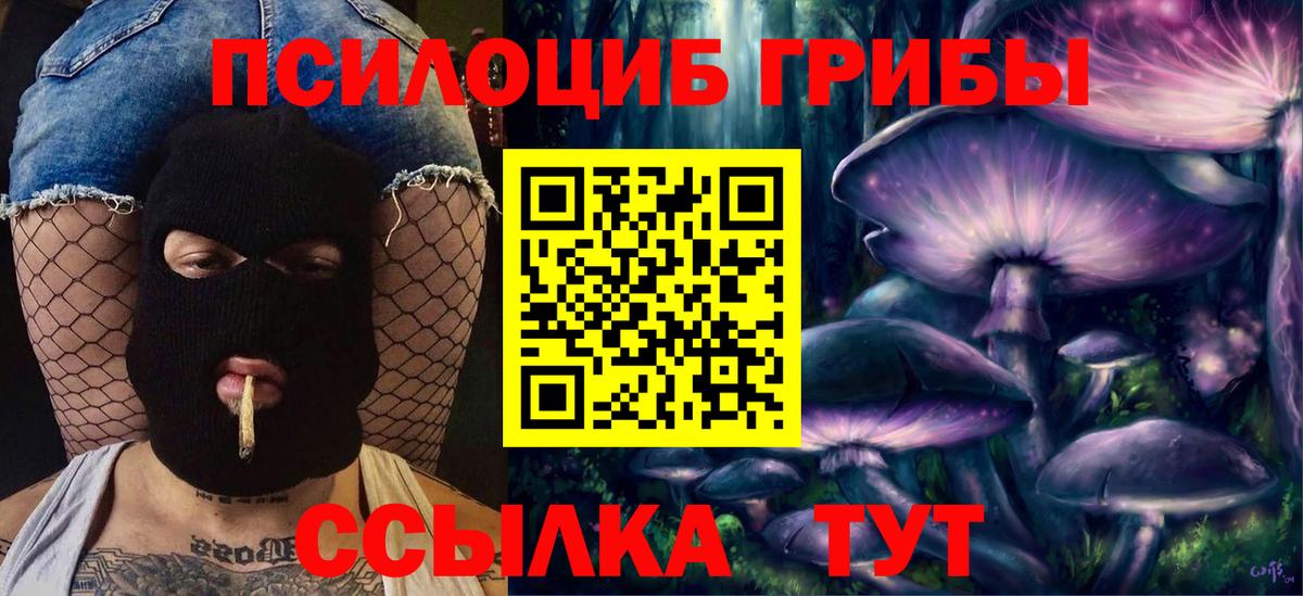 Галлюциногенные грибы мухоморы Железногорск