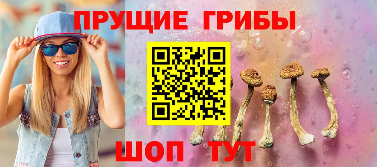 Псилоцибиновые грибы Psilocybe  Галлюциногенные грибы Psilocybe  Железногорск  наркотики  Вход с VPN 
